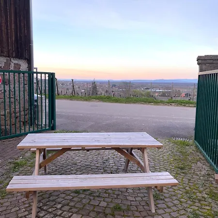 View Near Colmar- Free Park & Wifi Villa Gueberschwihr