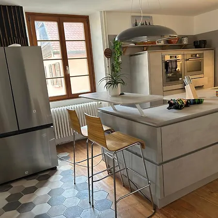 Villa View Near Colmar- Free Park & Wifi Gueberschwihr