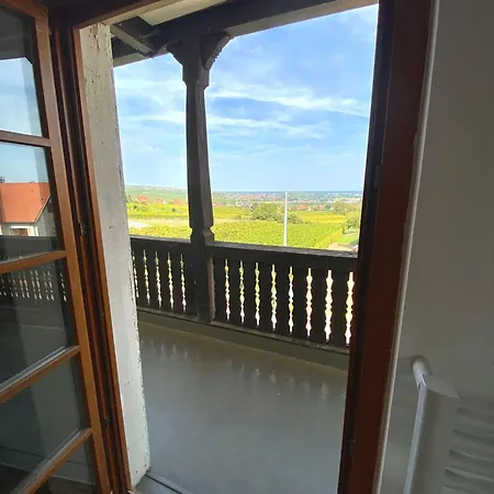 Vila View Near Colmar- Free Park & Wifi *