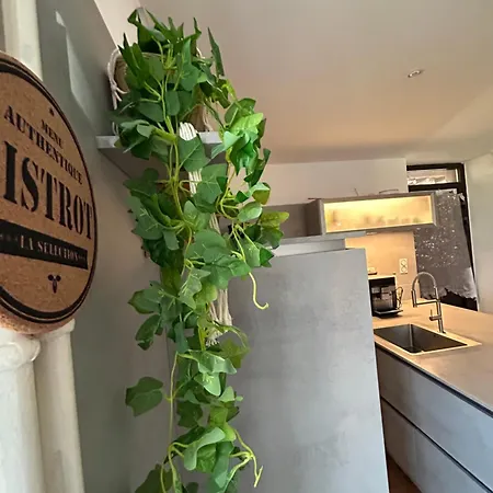 View Near Colmar- Free Park & Wifi * Gueberschwihr