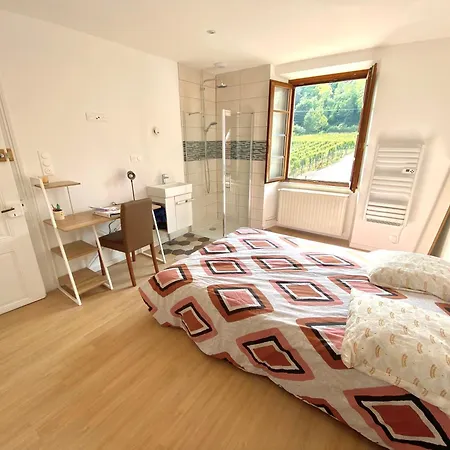 View Near Colmar- Free Park & Wifi Vila *