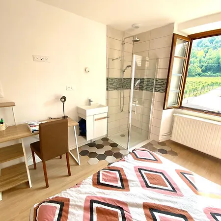 View Near Colmar- Free Park & Wifi Vila