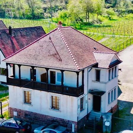View Near Colmar- Free Park & Wifi