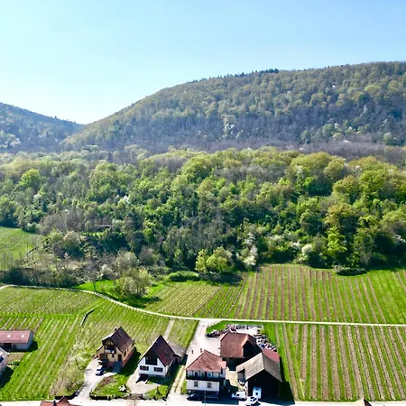 Villa View Near Colmar- Free Park & Wifi Gueberschwihr